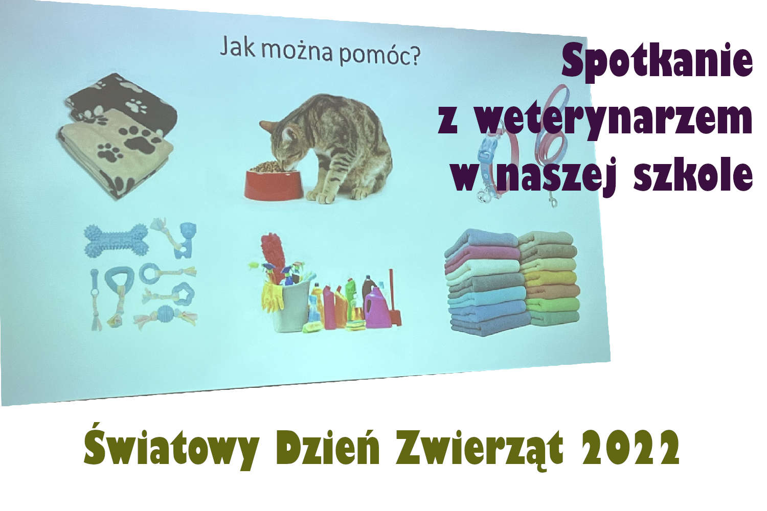 Światowy Dzień Zwierząt i spotkanie z lekarzem weterynarii
